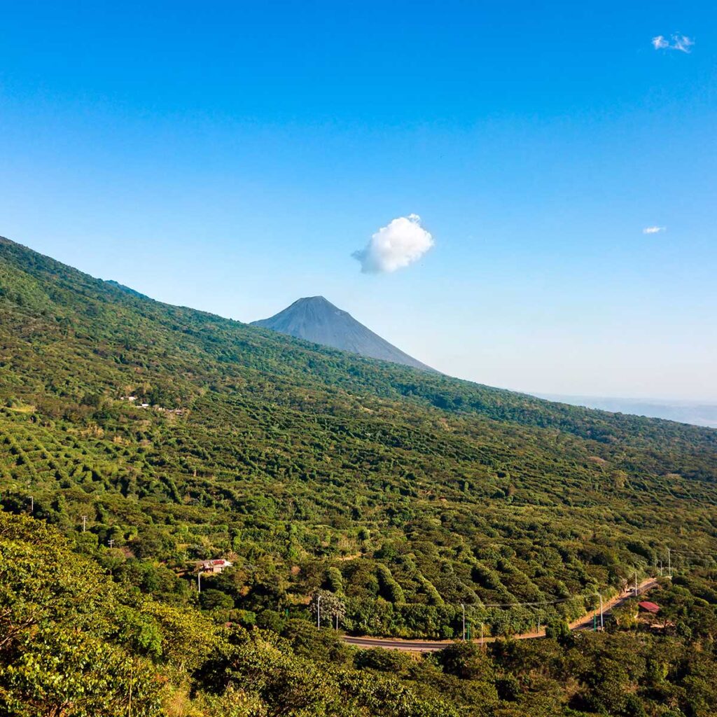 Salvador SHG volcano soil 1 萨尔瓦多SHG火山土壤