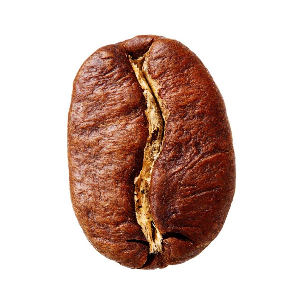 阿拉比卡和健壮咖啡豆比较
